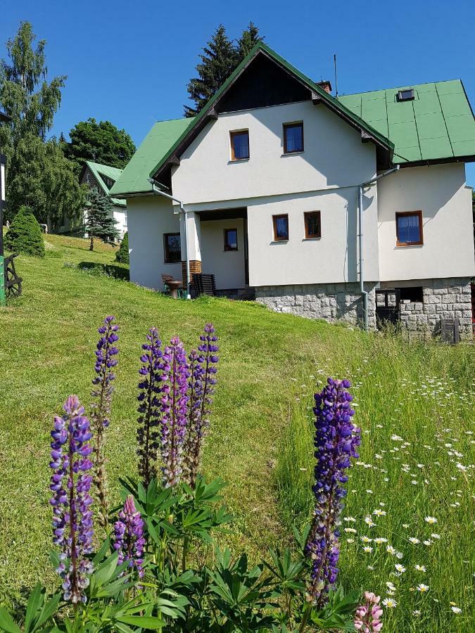 Apartamento U Kobru Špindlerŭv Mlýn Exterior foto